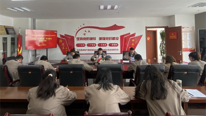 以案促改轉作風 堅守底線樹新風   &mdash;&mdash;青海物產朝陽物流開發(fā)投資有限公司支部委員會開展&ldquo;以案促改&rdquo;作風建設專項大討論