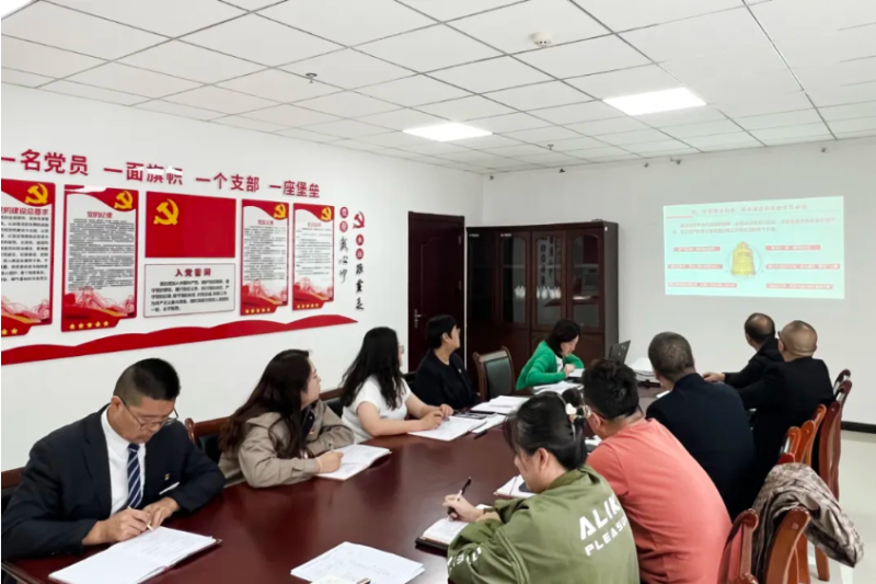 臨空公司黨支部開展&ldquo;黨課明志強根基 誓言錚錚擔(dān)使命&rdquo;迎七一主題黨日活動