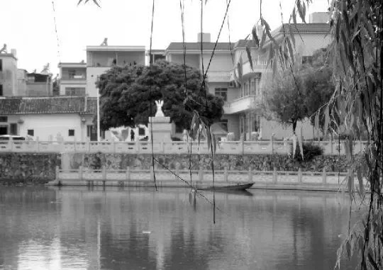 老鄉(xiāng)眼里的李河君：陌生富豪，夫人助其發(fā)財